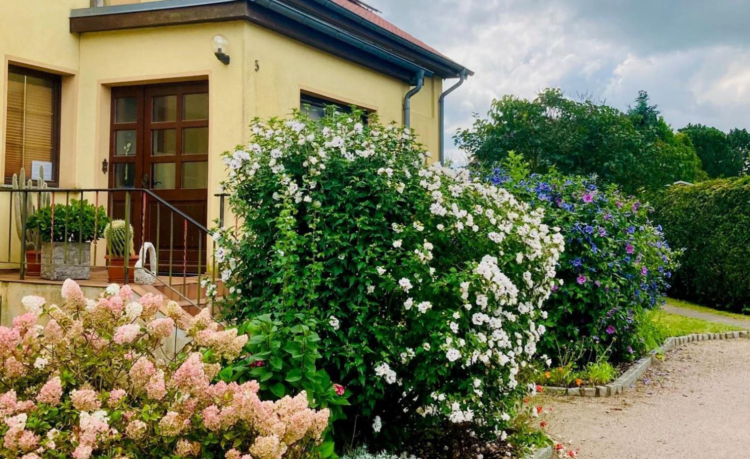 Heiligenhagen Appartement *